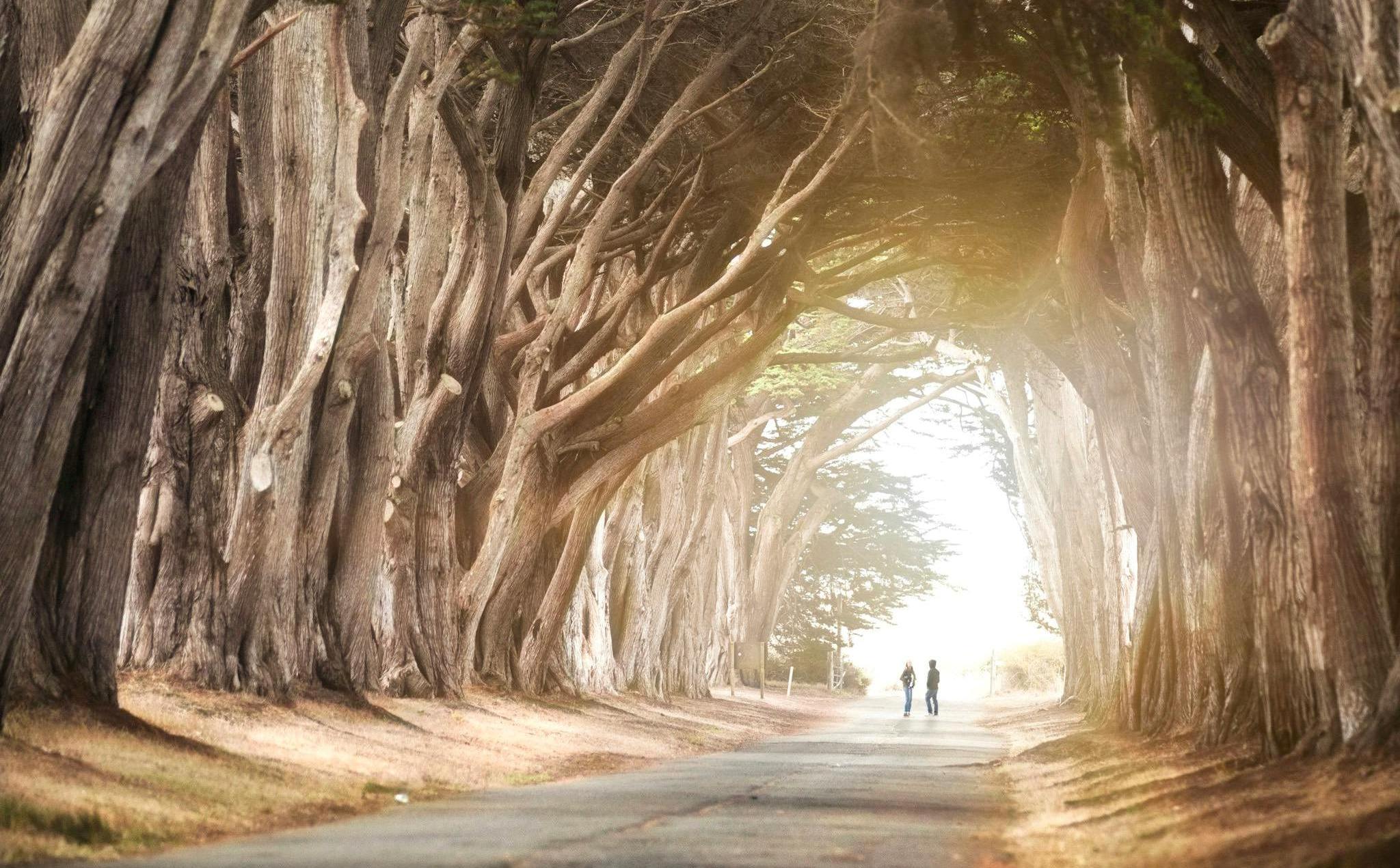 The-Road-to-Compromise The-Road-to-Compromise